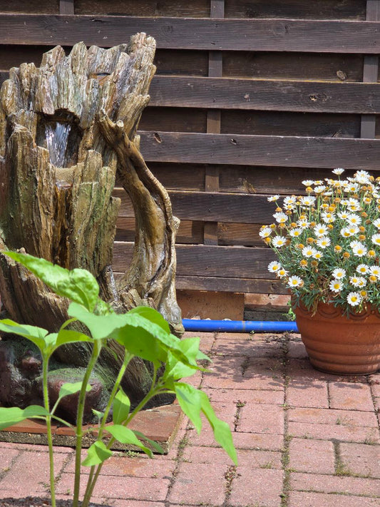 Vom Plexiglas zur Weite – wie ich meinen Eingangsbereich zur Energiequelle machte