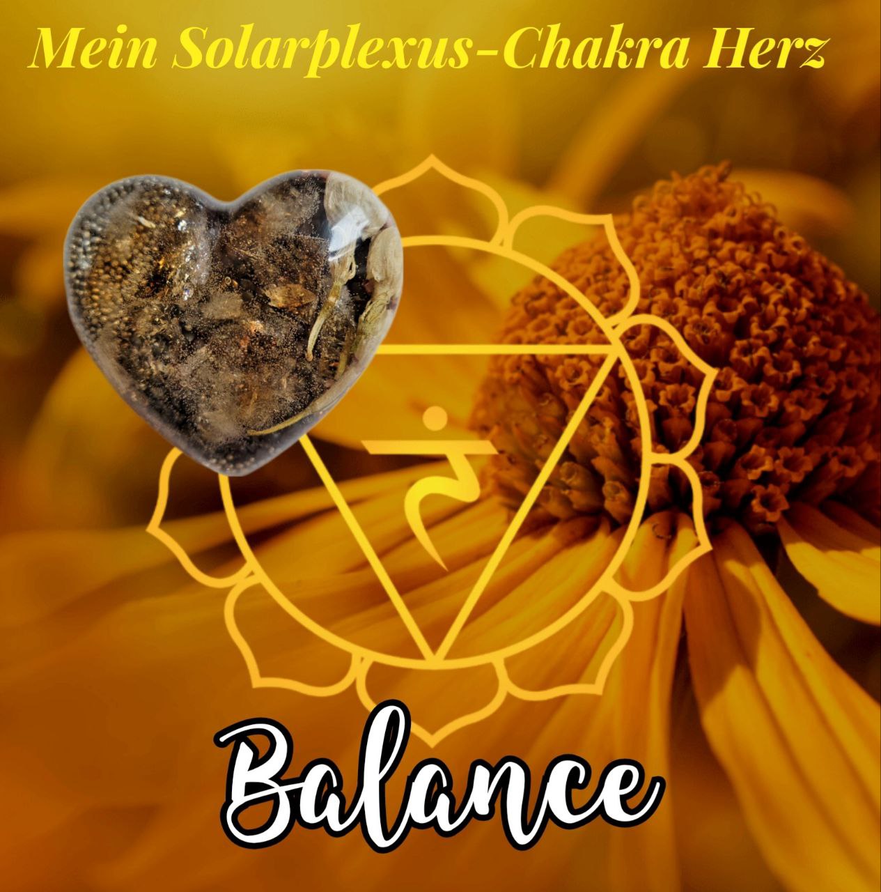 Orgonique Chakra-Herzen, 7er Set